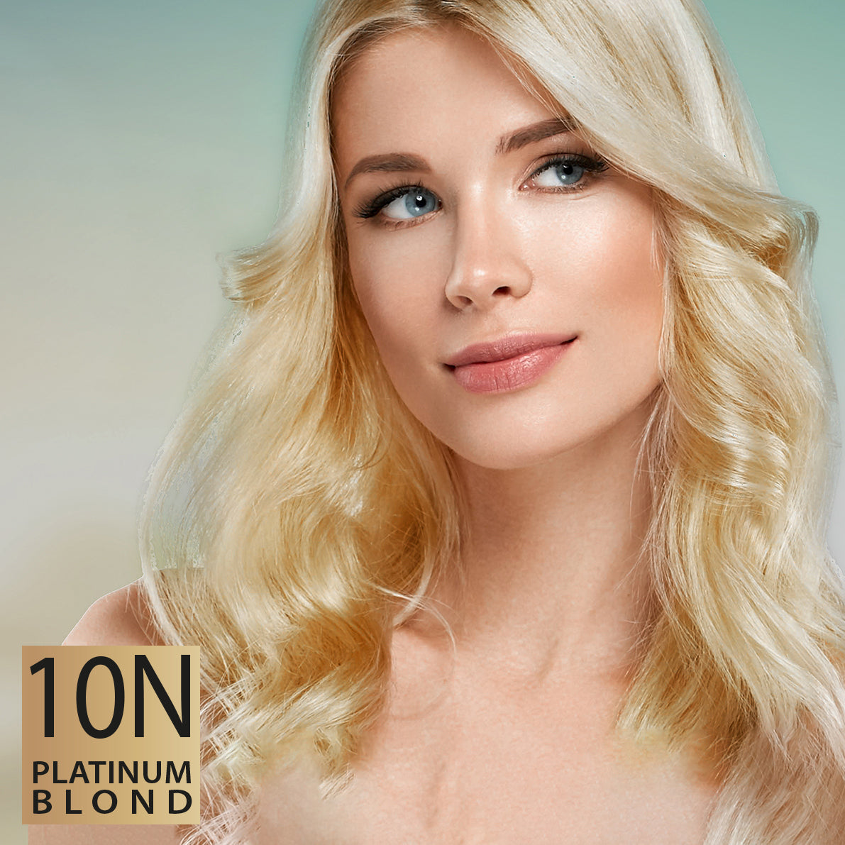 PERMANENT HAIR DYE 10N PLATINUM BLOND