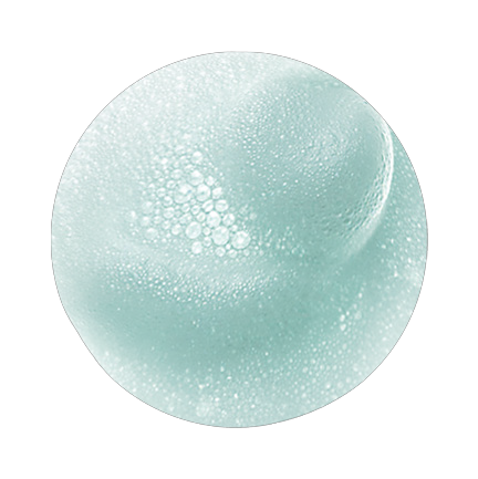 PORE DETOX PERFECTING FOAMING CLEANSER