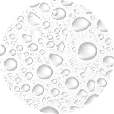 SKIN VITALITY VITALISING ALPINE MICRO-MIST